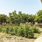 度假居 Mansion Of 120 M2, With High Ceilings And Big Yard Evangelistria (Corinthia)
