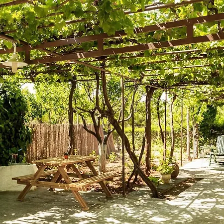 Vakantiehuis Mansion Of 120 M2, With High Ceilings And Big Yard