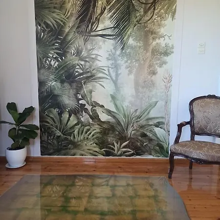 Vakantiehuis Mansion Of 120 M2, With High Ceilings And Big Yard