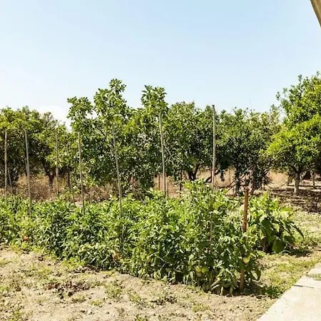 Vakantiehuis Mansion Of 120 M2, With High Ceilings And Big Yard Evangelistria (Corinthia)