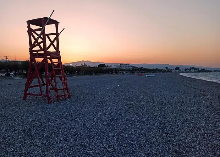 Mansion Of 120 M2, With High Ceilings And Big Yard