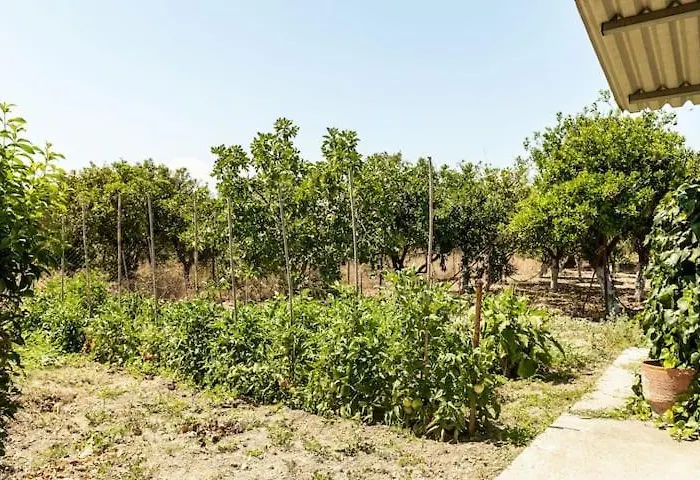 Дом отдыха Mansion Of 120 M2, With High Ceilings And Big Yard Evangelistria (Corinthia)